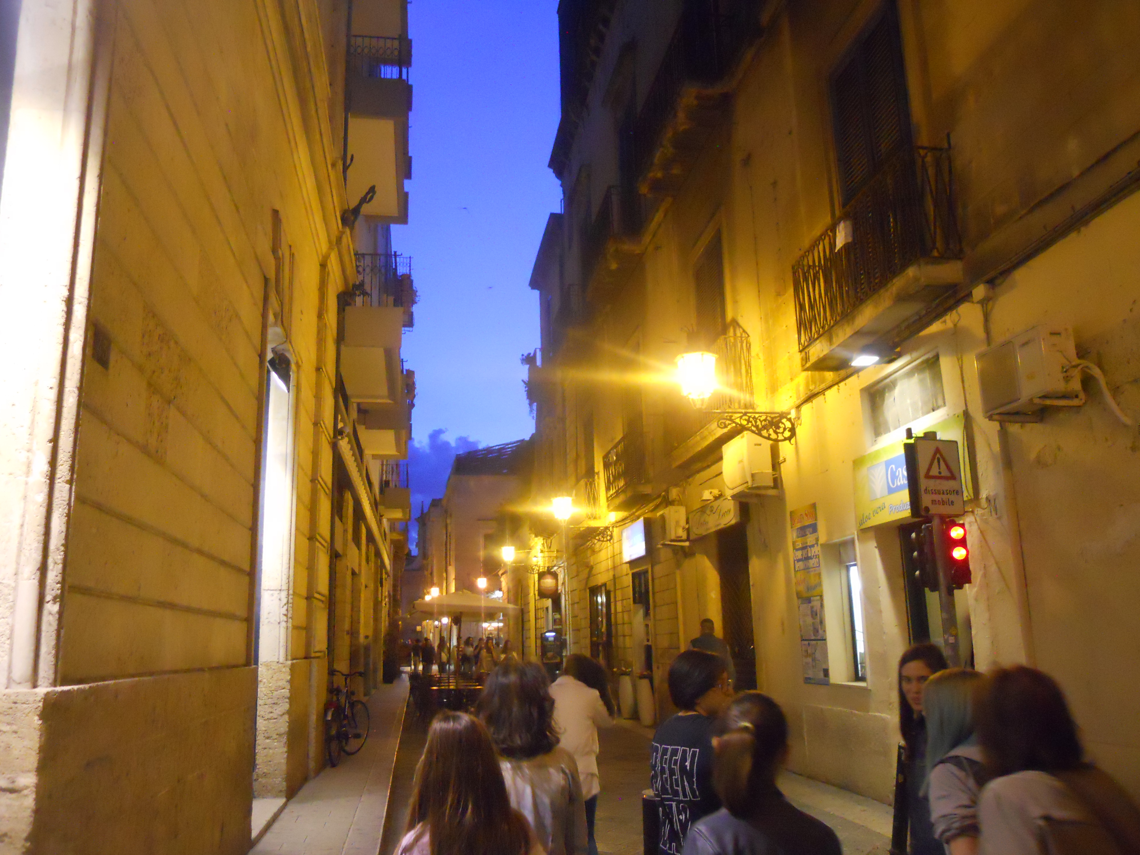 DSCN5091